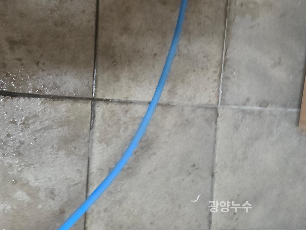 3067302113_ipJMqBd8_577f5bd9fae62cdc0b238a319239cf8937516aa0.jpg 이미지크게보기