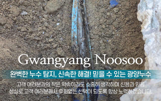 20250319155455_5nry6Usg.jpg_carousel_광양누수탐지 광양누수_광양누수탐지 광양누수, 광양시누수탐지업체, 광양동파해동, 광양시동파, 광양시옥상방수, 광양누수탐지전문업체