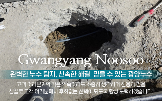 20250319155455_cCwWMXs4.jpg_carousel_광양누수탐지 광양누수_광양누수탐지 광양누수, 광양시누수탐지업체, 광양동파해동, 광양시동파, 광양시옥상방수, 광양누수탐지전문업체
