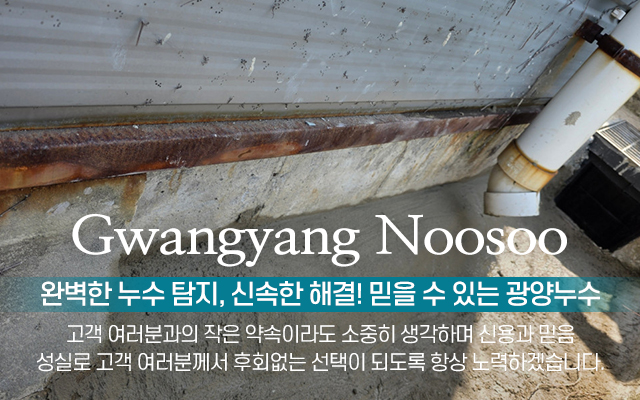 20250319155455_sTmlg0u3.jpg_carousel_광양누수탐지 광양누수_광양누수탐지 광양누수, 광양시누수탐지업체, 광양동파해동, 광양시동파, 광양시옥상방수, 광양누수탐지전문업체